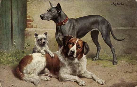 Künstler Ak Reichert, C., Bernhardiner, Dogge, schottischer Terrier