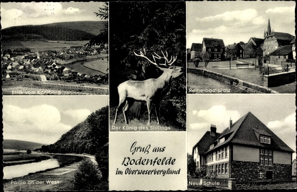 KP Bodenfelde nad Wezerą, widok z Kahlbergu, Reiherbachplatz, nowa szkoła, jeleń, Weserpartie