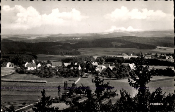 Ak  Poppberg Birgland in der Oberpfalz, Panoramablick auf  ländliche Landschaft, Baumansicht