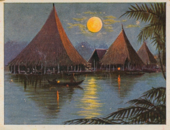 Sammelbild Deutsche Kolonien, Bild 199 Am Kaisein-Augusta-Fluss