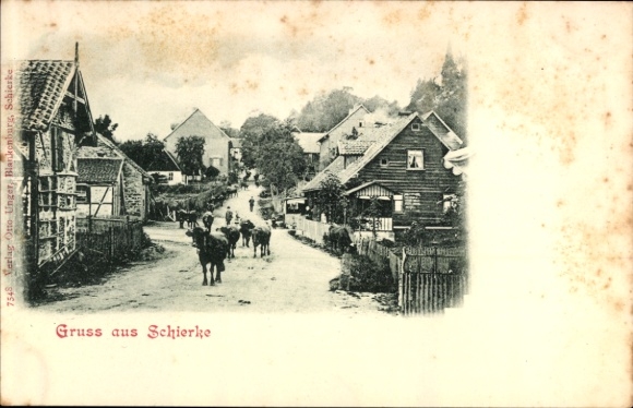 PC Schierke Wernigerode in the Harz Mountains, landscape with cows, houses, street, text 'Greetings from Schierke'