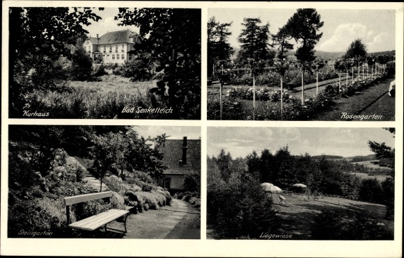 Postcard Senkelteich Valdorf Vlotho in North Rhine-Westphalia, view of the Kurhaus, rose garden