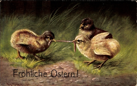 Artist Postcard Müller, August, Happy Easter, chicks fighting over an earthworm