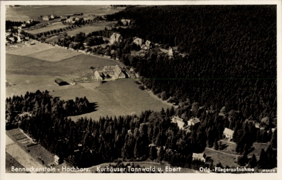 Postcard Benneckenstein Oberharz am Brocken, aerial photograph, spa houses Tannwald and Ebert