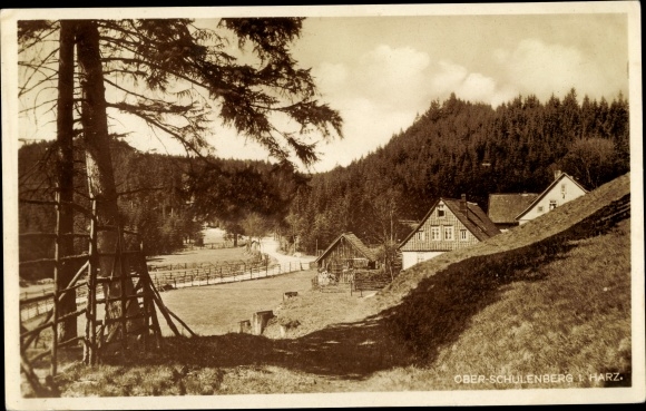 Ak Schulenberg Clausthal Zellerfeld im Oberharz, Partie in Ober-Schulenberg