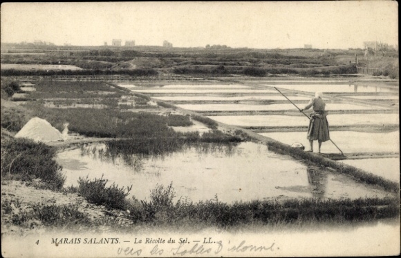 KP Les Sables d'Olonne Vendée, pola solne, produkcja soli