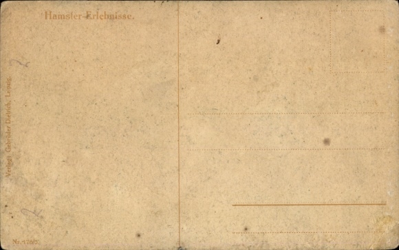 Artist Postcard Thiele, Arthur, hamster experiences, the eye of the law is awake, eggs, guitar, cat