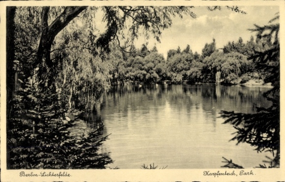 Postcard Berlin Steglitz Lichterfelde, Carp Pond, Park