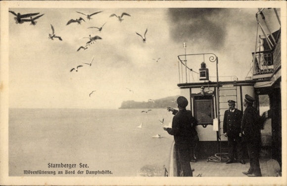 Postcard Starnberg am Starnberger See Upper Bavaria, seagull feeding, steamer