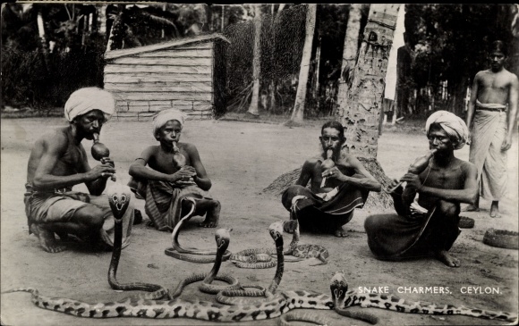 Postcard Ceylon Sri Lanka, Snake Charmers, Snake Charmers, Cobras