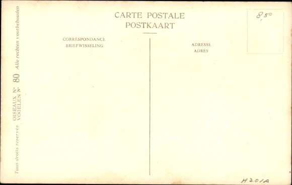 Artist Postcard Dupond, Hub., Chlidonias leucopareius, Grey Tern