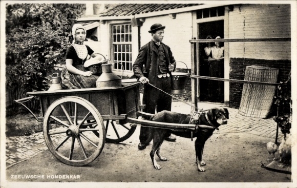 Ak Walcheren Zeeland, Hundekarren, Frauen in Tracht
