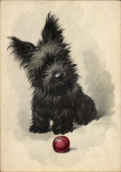 Artist Postcard Dermitzel, E., Yorkshire Terrier, dark fur, play ball