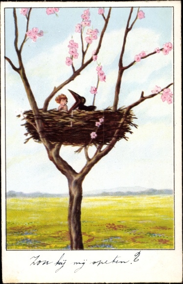 Postcard Would tuj eat me, Kind im Bird&#39;s nest, hungriger Bird