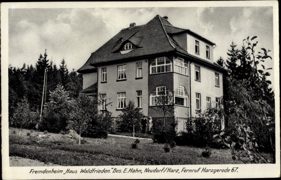 Ak Neudorf Harzgerode am Harz, Fremdenheim Haus Waldfrieden