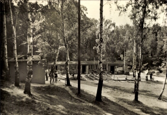 Postcard Machern in Saxony, landscape with trees, restaurant, path, people, birches
