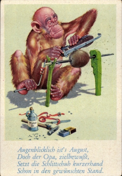 Collector's picture funny pictures No. 66, orangutan grinding his ice skates