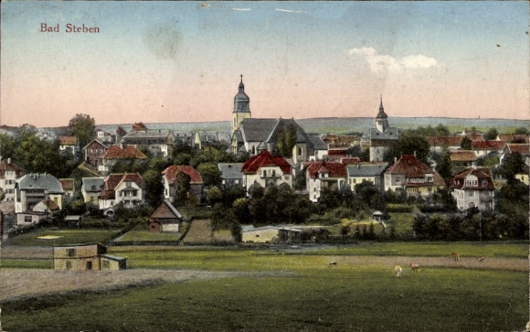 Postcard Bad Steben in Upper Franconia, panorama, general view, cows