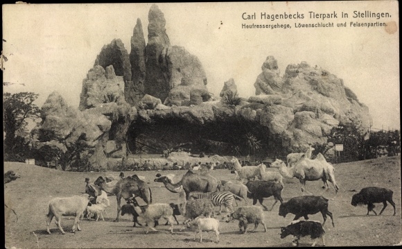 PC Hamburg Eimsbüttel Stellingen, Carl Hagenbeck&#39;s zoo, hay eater&#39;s enclosure, lion&#39;s gorge