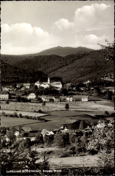 Ak Bodenmais in Niederbayern, Luftkurort, Berge, Wald, Gebäude, Landschaft