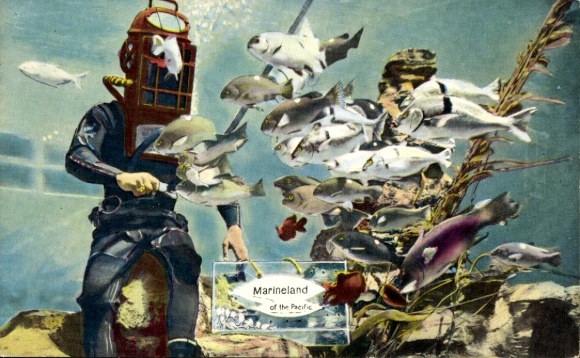 Postcard California USA, Marineland of the Pacific, Oceanarium, divers, fish