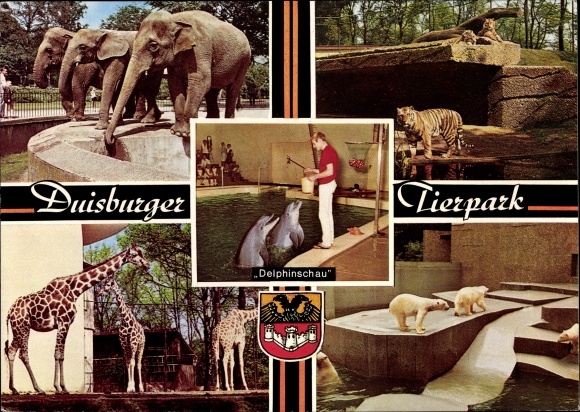 Postcard Duisburg in the Ruhr area, zoo, dolphins, elephants, tigers, giraffes, polar bears