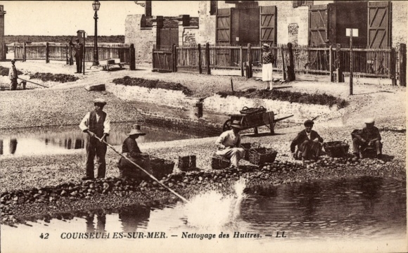 CPA Courseulles sur Mer Calvados, Nettoyage des Huitres