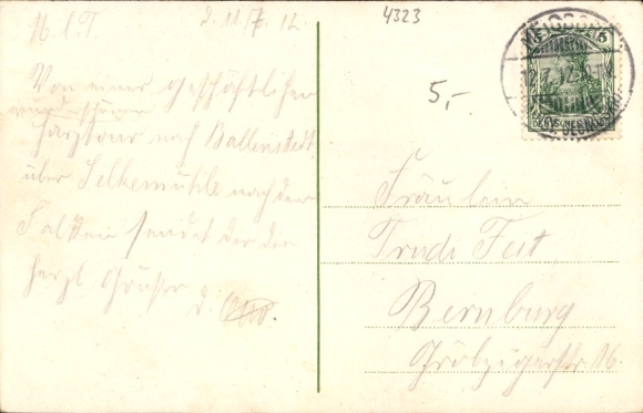 Artist Postcard Falkenstein in the Harz, Hotel zum Falken by G. Günther, Castle