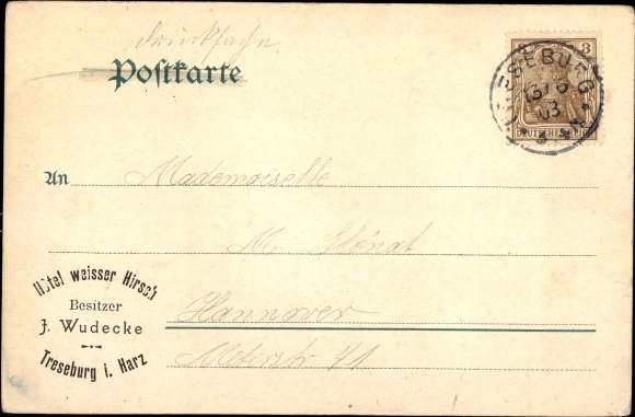 Postcard Treseburg Thale im Harz, Hotel Weisser Hirsch, panorama, river, bridge, forest