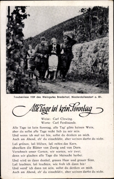 Song Ak Elke dag is geen zondag, druivenoogst 1939, wijnmakerij Brederhof, Niederdollendorf am Rh.