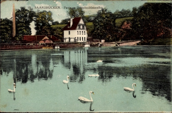 Postcard Saarbrücken in Saarland, Deutschmühlenweiher, swans, water, landscape