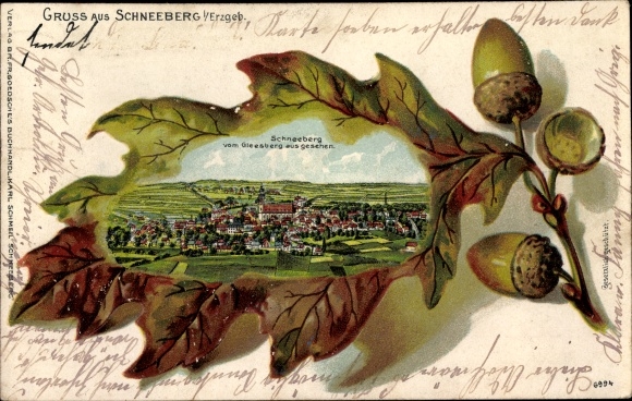 Embossed oak leaf litho Schneeberg in the Ore Mountains, view of the town from Gleesberg