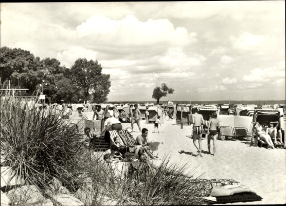 KP Ueckermünde w Pomorzu Zachodnim, plaża z wieloma ludźmi, leżakami, drzewami i chmurami