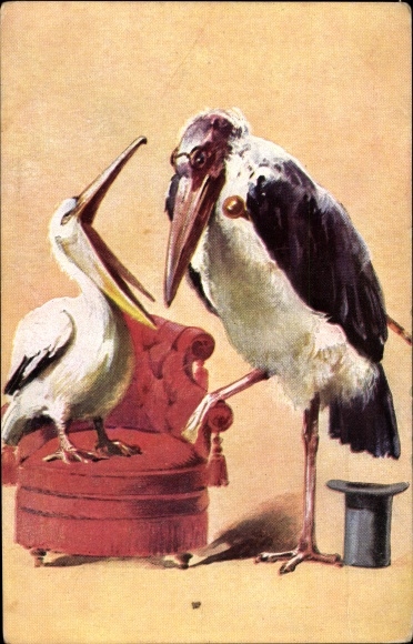 Artist Postcard Marabu looks pelican in the beak, doctor, humanized animals