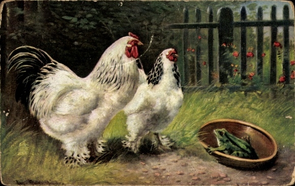 Artist Postcard Müller, Aug., frog, pedigree chickens