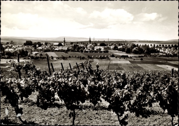 Ak Sprendlingen in Rheinhessen, panorama van de plaats
