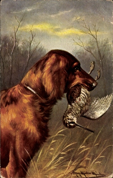 Artist Postcard Müller, August, hunting dog with killed wild bird, hunting scene