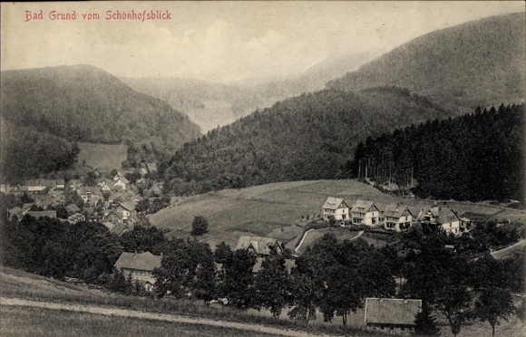 Ak Bad Grund im Harz, Aussicht vom Schönhofsblick, Berglandschaft, Häuser, Wälder
