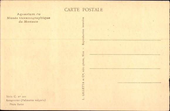 Postcard Monaco, Aquarium du Musee Oceanographique, Langoustes, Palinurus vulgaris