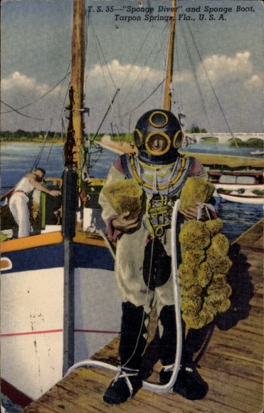Postcard Tarpon Springs Florida USA, Sponge Diver