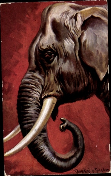 Kunstenaar Ak Donadini, Antonio Ermenegildo, olifant, portret