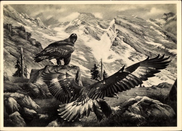 Artist PC Kiefer, Michael, golden eagle, mountains, HDK 524