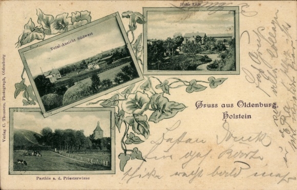 Art Nouveau Postcard Oldenburg in Holstein, Church, total view southwest