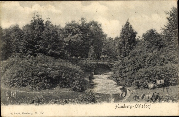 Ansichtkaart Hamburg Nord Ohlsdorf, Park