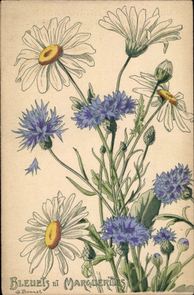 Artist Postcard Bonnet, cornflowers and daisies