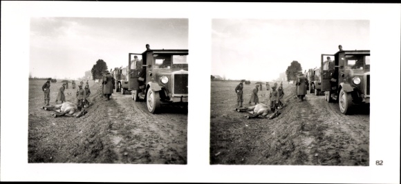 Stereo spatial image photo &quot;The soldiers of the leader in the field&quot;, No. 82, fallen horse, advance road