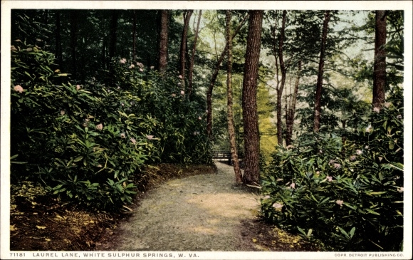 Ak White Sulphur Springs West-Virginia, Laurel Lane