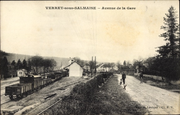 Postcard Verrey sous Salmaise Côte-d&#39;Or, Avenue de la Gare, train station