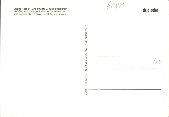 Postcard Wallerstädten Groß Gerau in Hesse, zebras