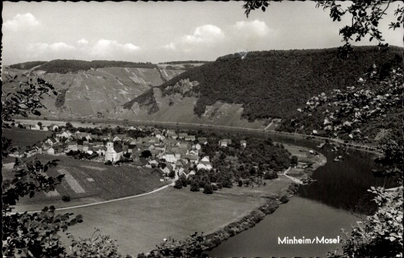 Ak Minheim an der Mosel, Totalansicht